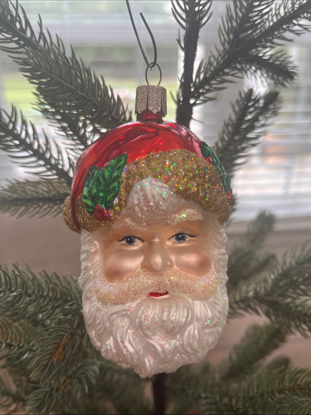 Old World Christmas Blown Glass Hand Painted Santa Ornament Christmas Holiday